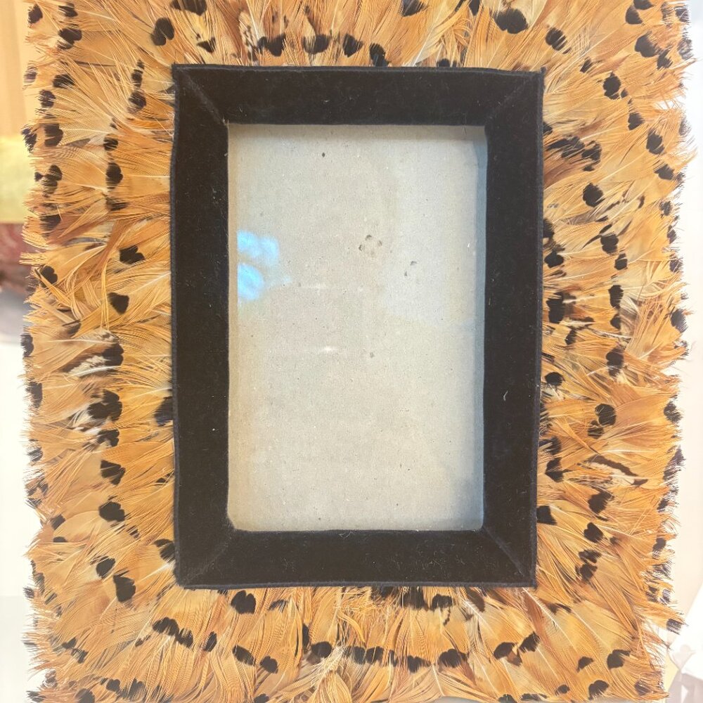 NEW!!!! PHEASANT FEATHERS PICTURE FRAME D.L.L RHEIN